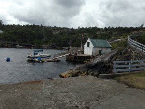 IMG_3463.jpg