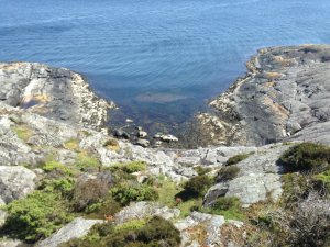 IMG_3474.jpg