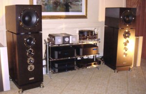 2010CES-1-Dynaudio1.jpg