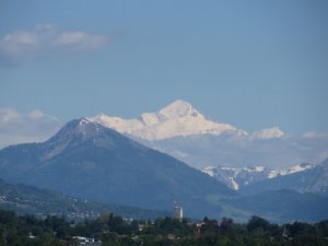 IMG_3969.jpg
