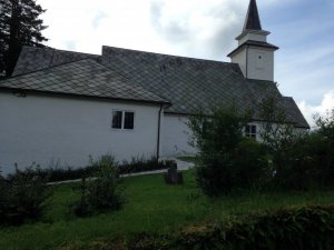 IMG_3626.jpg