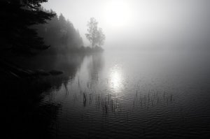 L1025098 (2).JPG