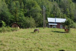DSC_0558.jpg
