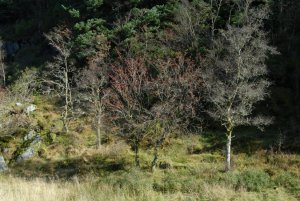 DSC_0739.jpg