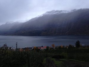 IMG_3940.jpg