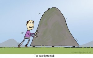 flyttefjell.jpg