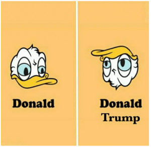 donald donald.png