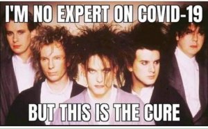 the cure.jpg