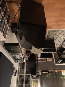 25E82431-9B4D-48F6-A1BB-03E5FFF8752A.jpg