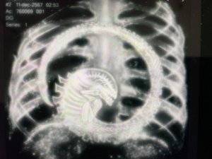 995B68D9-E421-4C0A-9DB8-4F81DA4C06AA.jpg