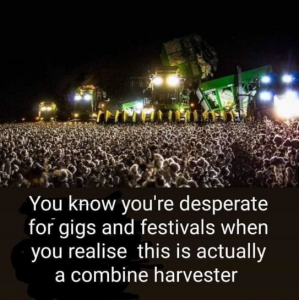 festivals.png