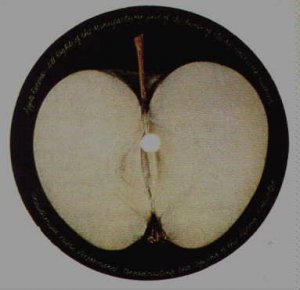 apple.JPG
