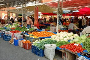 marked 039.jpg