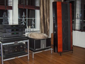 hifikatt 001.jpg