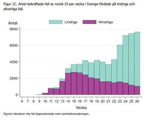 liddliga.JPG