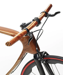 woodcarbonbike.png