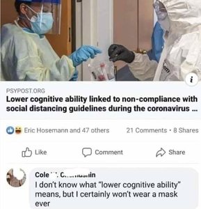 cognitivt.JPG