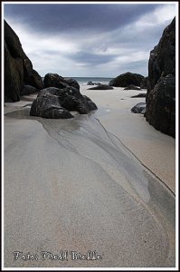 IMG_5005 F ShadowHigl 3-3 SSHARP Low 580.jpg