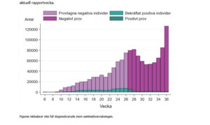 Screenshot_2020-09-14 covid-19-veckorapport-vecka-36-final_v2 pdf.png