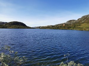 IMG_20200917_145941.jpg