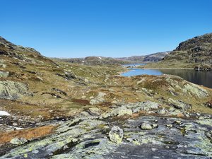 IMG_20200919_130907.jpg