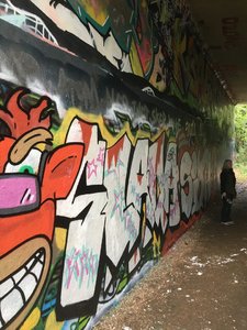 403AB522-4AEB-4399-ACA1-3FE8422E9796.jpeg