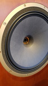20201025_123217.jpg
