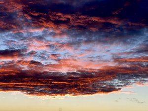 BBC25908-5CB1-4B6A-A0D1-5A03209E3953.jpeg