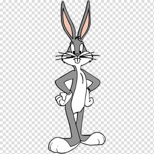 bugs-bunny-porky-pig-looney-tunes-cartoon-rabbit.jpg
