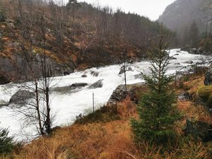 IMG_20201118_131128.jpg