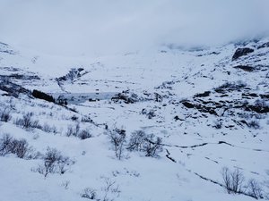 IMG_20201124_111900.jpg