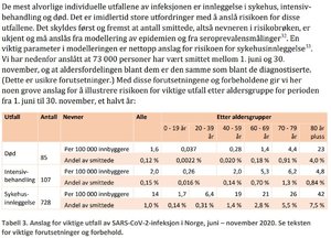 risikoanalyse.JPG