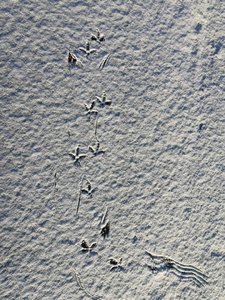 IMG_20201209_115936.jpg