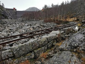 IMG_20201217_111429.jpg