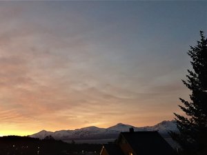 20201225_100952_088 (2).jpg