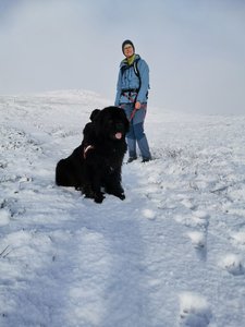 IMG_20201031_111702.jpg