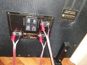 20190405_091113 - Copy.jpg