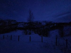 IMG_20210116_170819.jpg