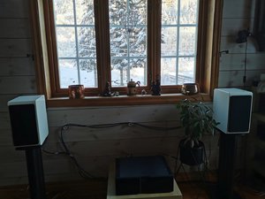 IMG_20210128_145258.jpg