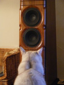 DSCF1408.jpg