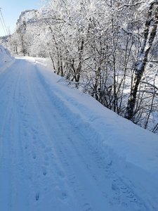 IMG_20210202_125325.jpg