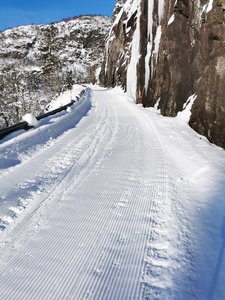 IMG_20210202_131526.jpg