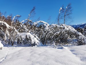 IMG_20210204_132748.jpg