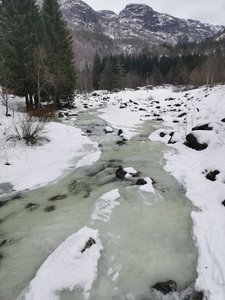 IMG_20210221_120600.jpg