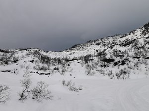IMG_20210222_124701.jpg