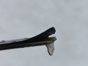 IMG_20210222_134338.jpg