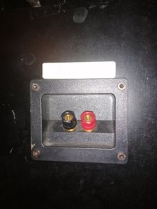 1614050624903676811293006674687.jpg
