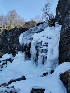 IMG_20210308_101129.jpg