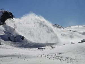 IMG_20210316_105651.jpg