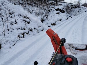 IMG_20210409_115014.jpg